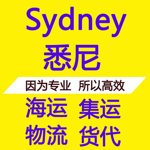 悉尼普貨海派專線 雙清包稅海運(yùn)物流的便捷之選